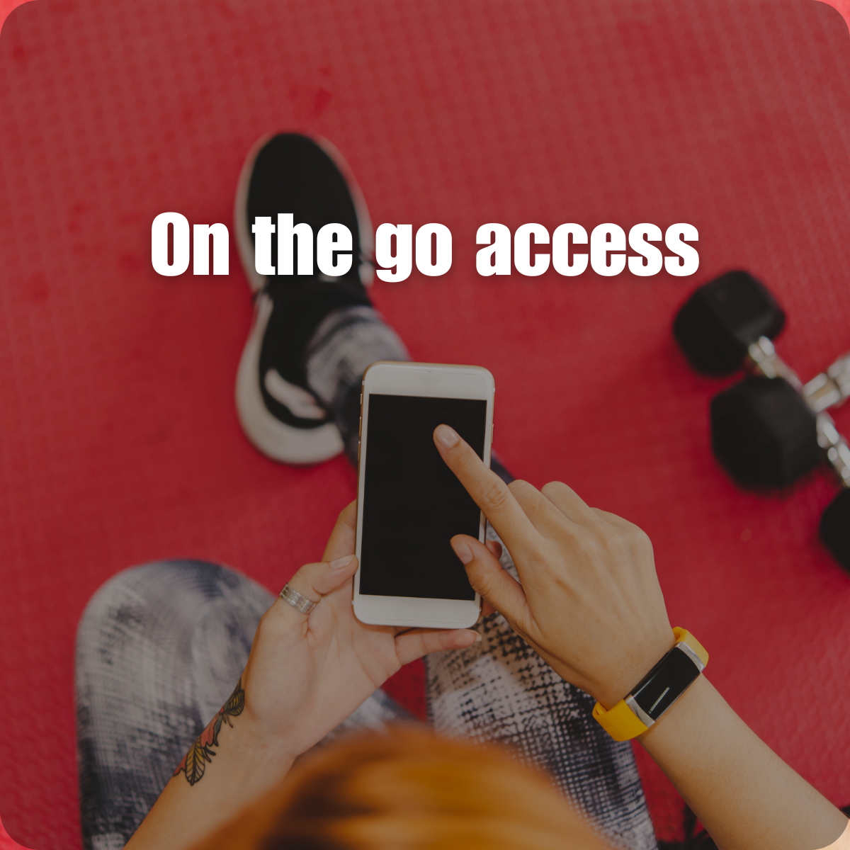 Access your program on any device